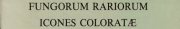 Couverture : Fungorum rariorum icones coloratae. Pars VIII