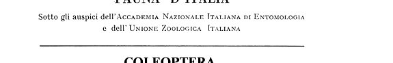 Couverture : Coleoptera Staphylinidae, generalità Xantholininae