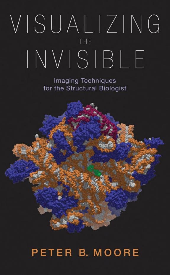 Couverture : Visualizing the Invisible