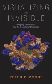 Couverture : Visualizing the Invisible