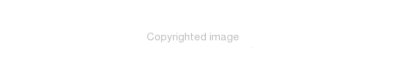 Couverture : Two studies concerning the British Broadcasting Corporation