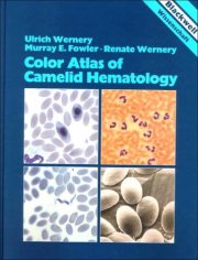 Couverture : Color atlas of camelid hematology