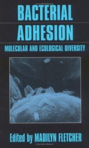Couverture : Bacterial Adhesion