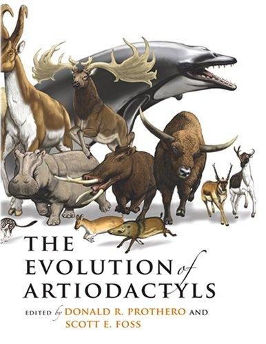 Couverture : The Evolution of Artiodactyls