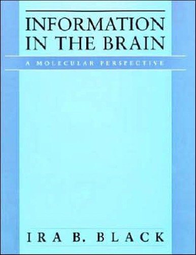 Couverture : Information in the brain