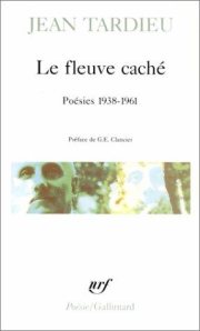 Couverture : Le Fleuve caché,