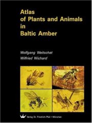 Couverture : Atlas of plants and animals in Baltic amber