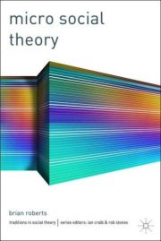 Couverture : Micro social theory