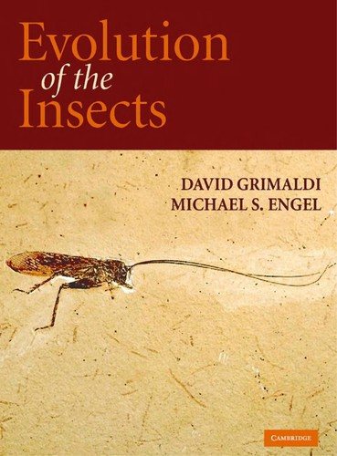Couverture : Evolution of the insects