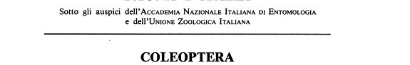 Couverture : Coleoptera, Staphylinidae, Omaliinae