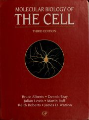 Couverture : Molecular biology of the cell