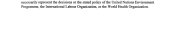Couverture : Diethylene Glycol Dimethyl Ether (Concise International Chemical Assessment Document)