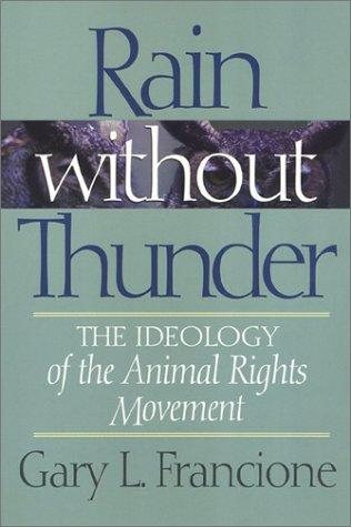 Couverture : Rain without thunder