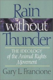 Couverture : Rain without thunder