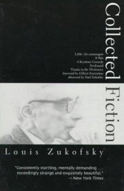 Couverture : Collected Fiction (American Literature (Dalkey Archive))