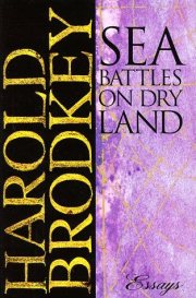 Couverture : Sea battles on dry land