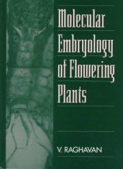 Couverture : Molecular embryology of flowering plants