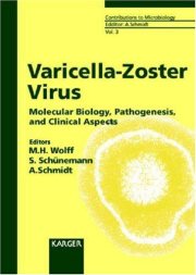 Couverture : Vericella-Zoster Virus