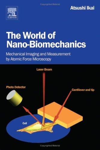 Couverture : The World of Nano-Biomechanics