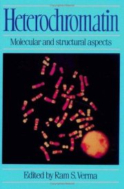 Couverture : Heterochromatin