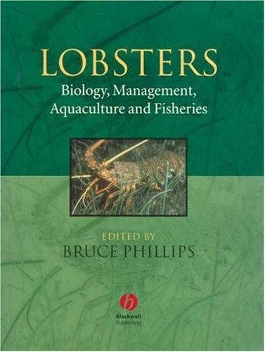 Couverture : Lobsters