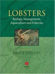 Couverture : Lobsters