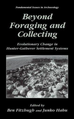 Couverture : Beyond Foraging and Collecting