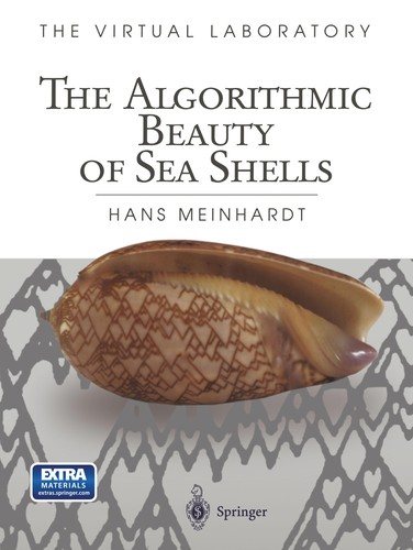 Couverture : The algorithmic beauty of sea shells