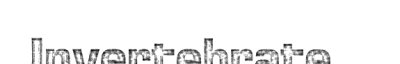 Couverture : Invertebrate zoology