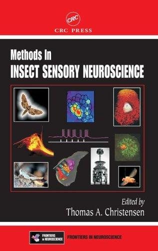 Couverture : Methods in insect sensory neuroscience / edited by Thomas A. Christensen.