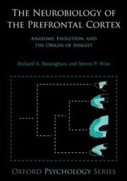 Couverture : The Neurobiology of the Prefrontal Cortex