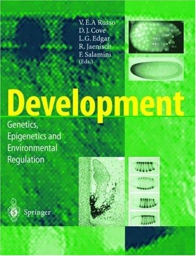 Couverture : Development