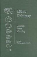 Couverture : Lithic debitage