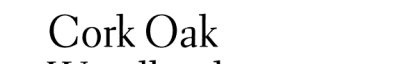 Couverture : Cork oak woodlands in transition