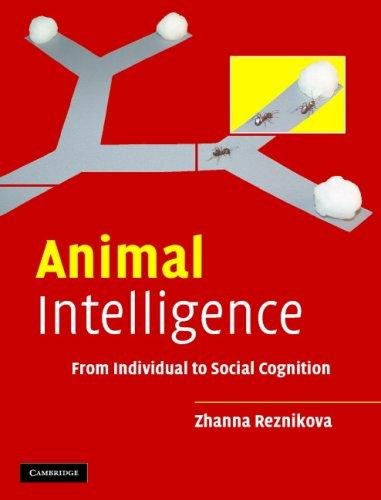 Couverture : Animal Intelligence