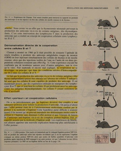 Couverture : Immunologie ([2e éd.]) J. F. Bach, Ph. Lesavre