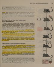 Couverture : Immunologie ([2e éd.]) J. F. Bach, Ph. Lesavre