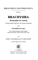 Couverture : Brachysira