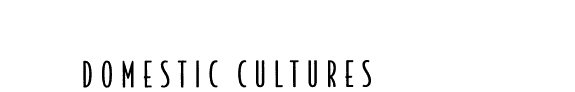 Couverture : Domestic Cultures (Issues in Cultural and Media Studies)