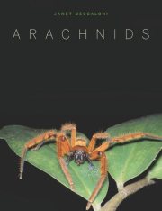 Couverture : Arachnids