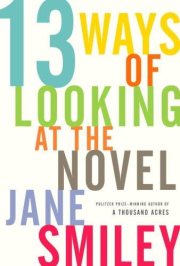 Couverture : Thirteen ways of looking at the novel