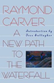 Couverture : A New Path to the Waterfall