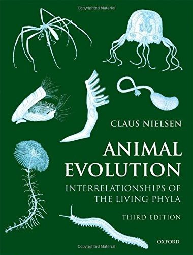 Couverture : Animal Evolution