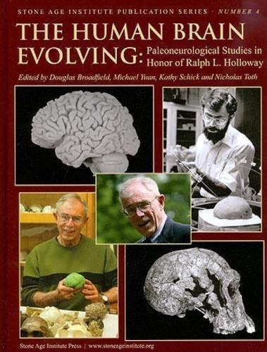 Couverture : The Human brain evolving