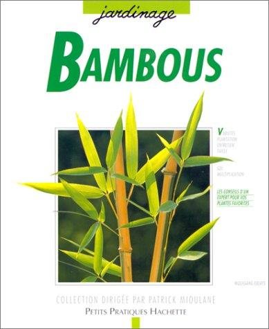Couverture : Bambous