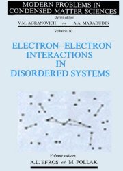 Couverture : Electron-electron interactions in disordered systems