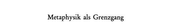 Couverture : Metaphysik als Grenzgang