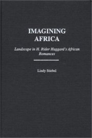 Couverture : Imagining Africa