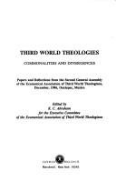 Couverture : Doing theology in a divided world