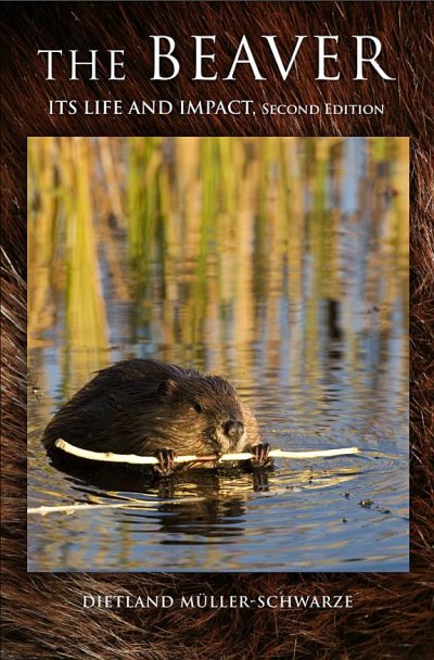 Couverture : The beaver